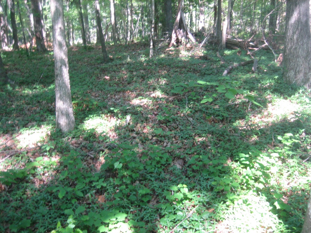 Old Hanging Rock Presbyterian Church